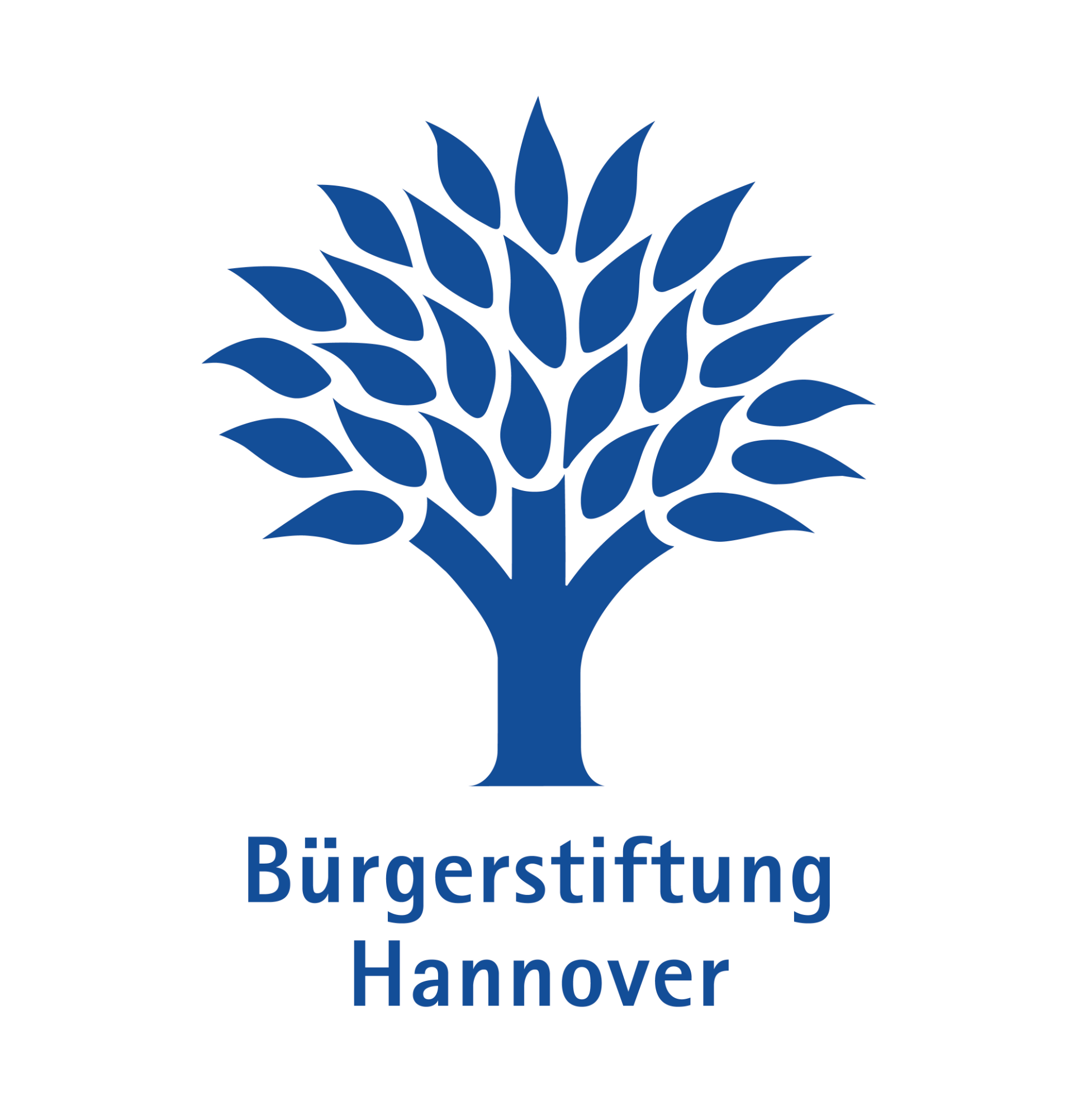 Logo Bürerstiftung Hannover